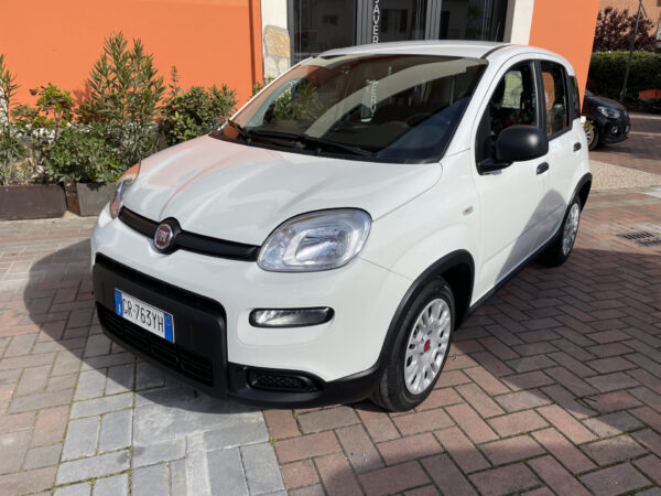 Fiat Panda 1.0 FireFly S&S Hybrid GARANZIA FIAT - immagine 5