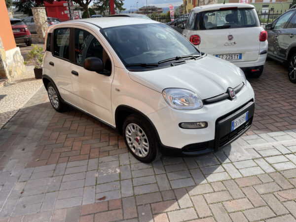 Fiat Panda 1.0 FireFly S&S Hybrid GARANZIA FIAT - immagine 8