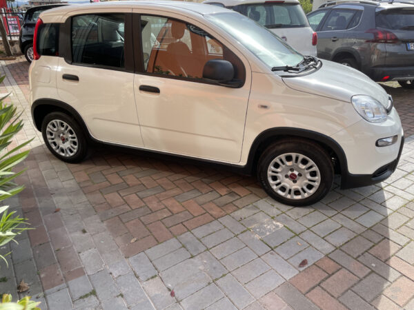 Fiat Panda 1.0 FireFly S&S Hybrid GARANZIA FIAT - immagine 9