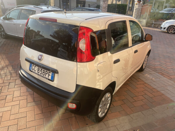 FIAT PANDA 1.0 IBRIDA ANNO 2020 - immagine 3